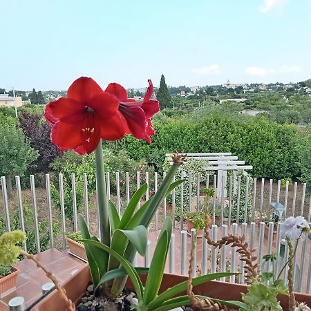 Bed and Breakfast Casa Mastronardi Кастеллана-Гротте Экстерьер фото